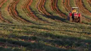 Accident de tracteur cause un mort à Vieira do Minho