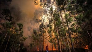 Autarca déclare qu'il est "humainement impossible" d'arrêter le feu à Sabugal.