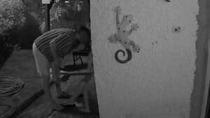Bombeiro de Machico filmé en train d'agresser sa femme. Tout ce que l'on sait.