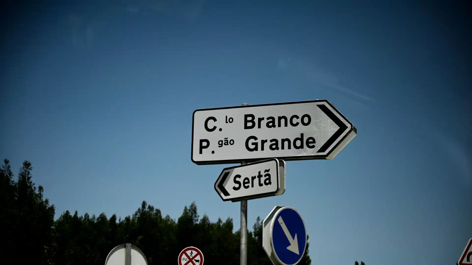 Castelo Branco a créé un guichet de soutien pour les villages touchés par les incendies.