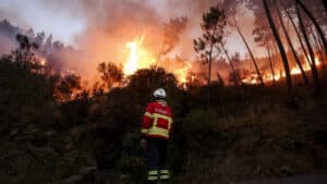 Castro Daire avec deux fronts actifs et brûlant avec intensité