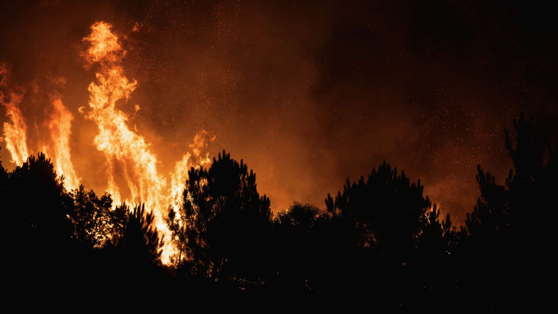 Charpentier de Sernancelhe a perdu environ 70% de l'atelier dans les incendies.