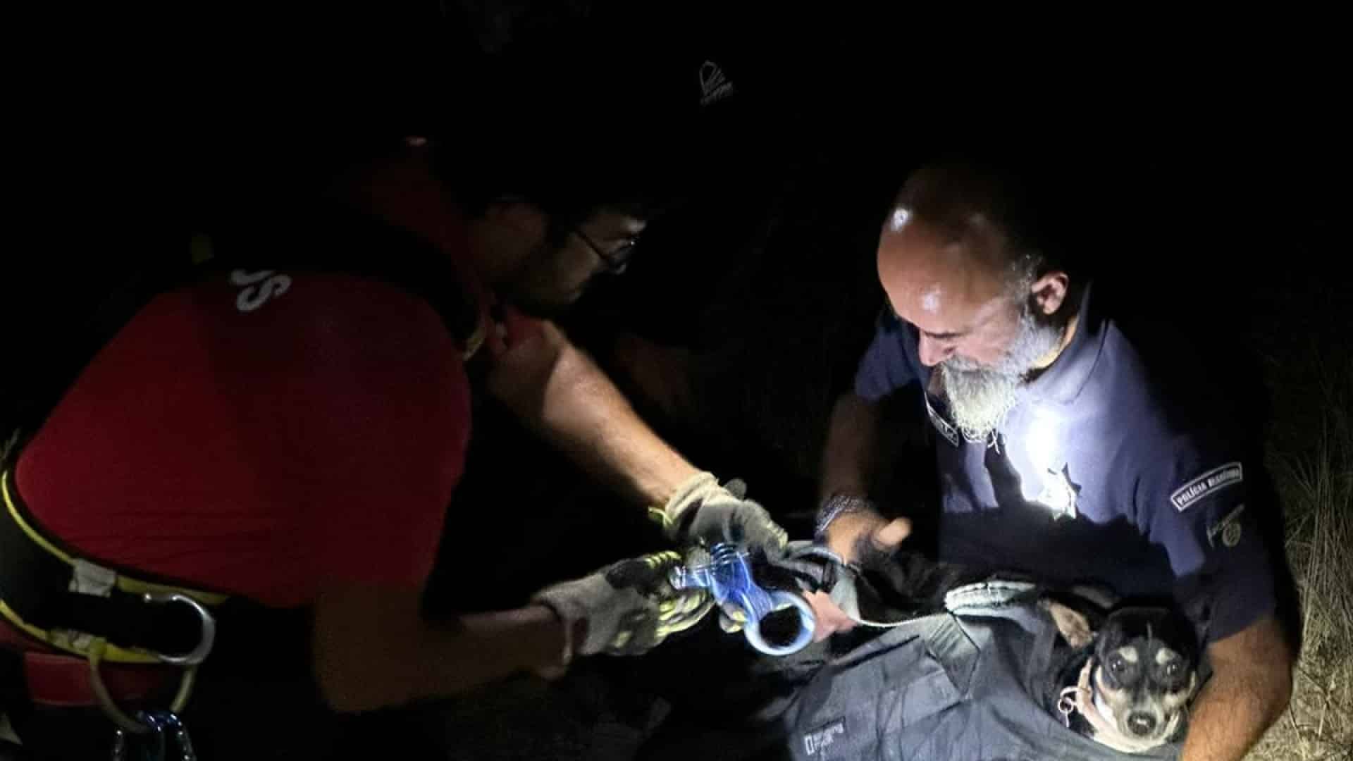 Chien coincé sur la falaise de Peniche. Il a été sauvé (et remis) sans blessures.