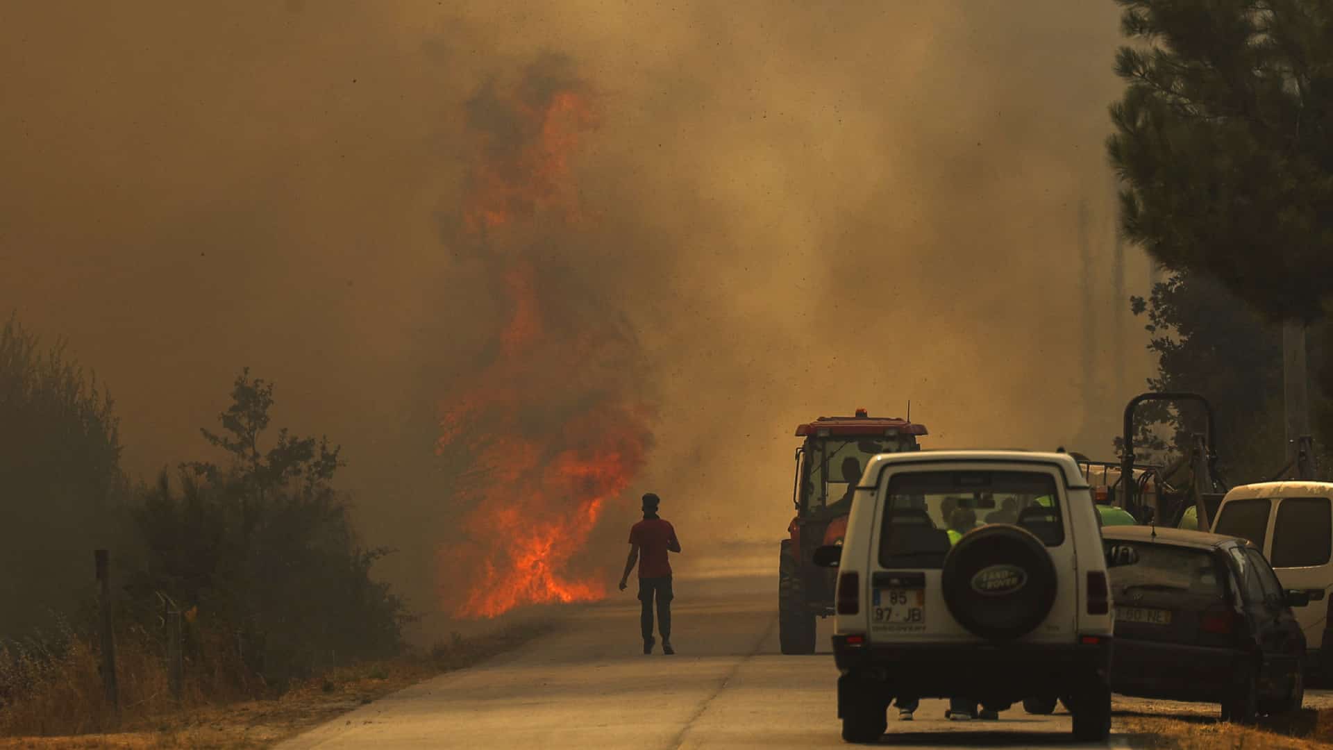 Cinq moyens aériens mobilisés pour un incendie à Figueiró dos Vinhos
