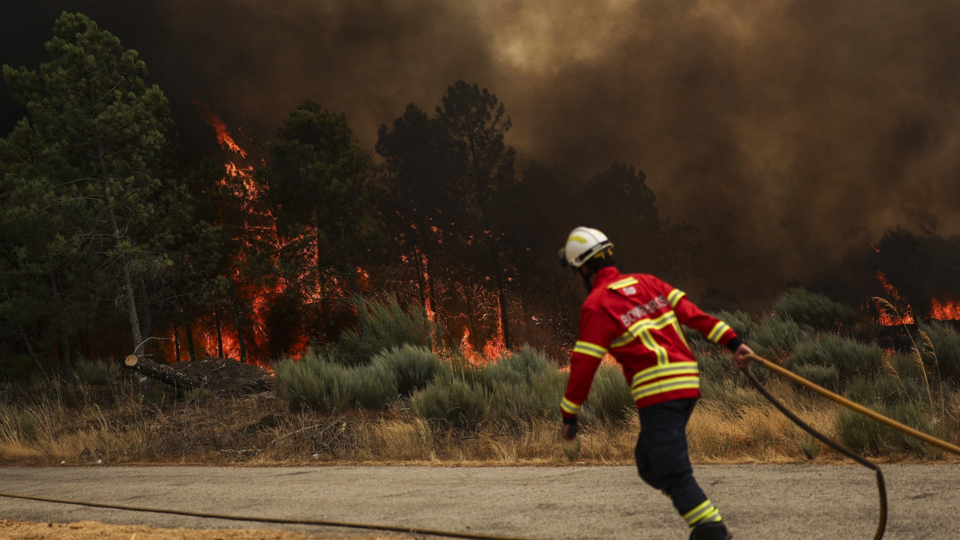 Circulation rétablie sur la EN113, coupée en raison de l'incendie