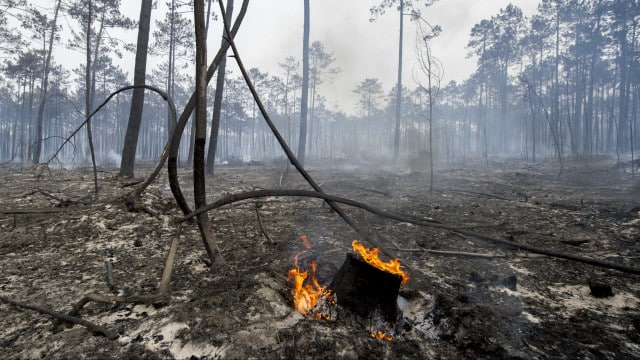 Incêndios? Mais de 80 concelhos em risco máximo em Portugal continental