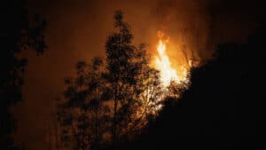 Dans l'incapacité de quitter la maison, la famille a combattu les flammes avec des seaux.
