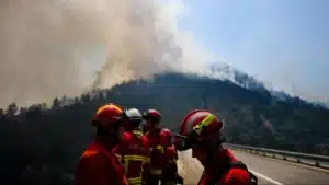 Détention provisoire pour le suspect d'incendie criminel à Beja.