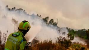 Deux fronts brûlent intensément dans l'incendie qui s'est déclaré à Sabrosa.