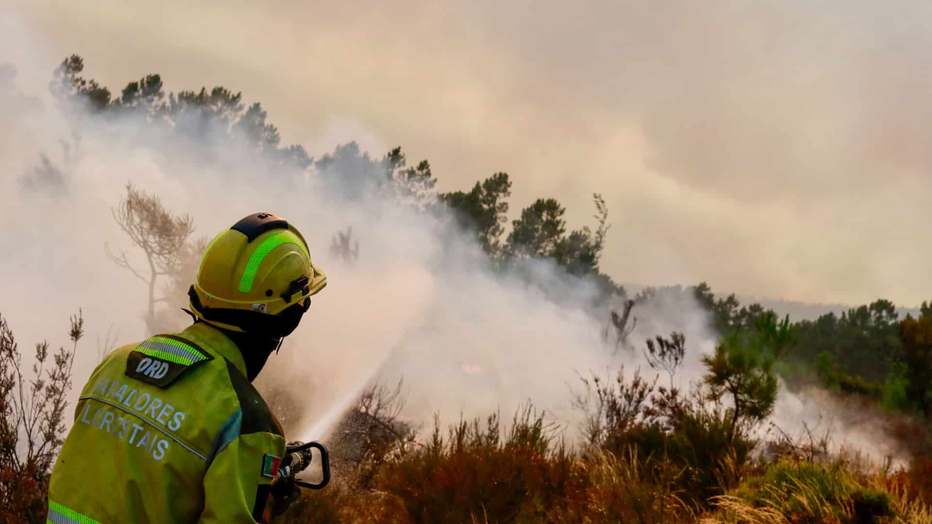 Deux fronts brûlent intensément dans l'incendie qui s'est déclaré à Sabrosa.