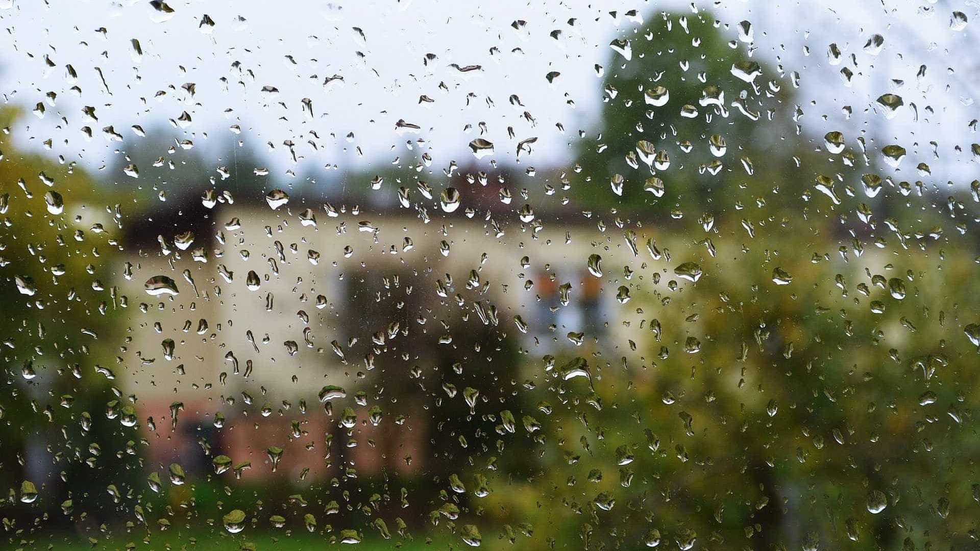 Dimanche? Les températures descendent et il y a possibilité d'averses éparses.