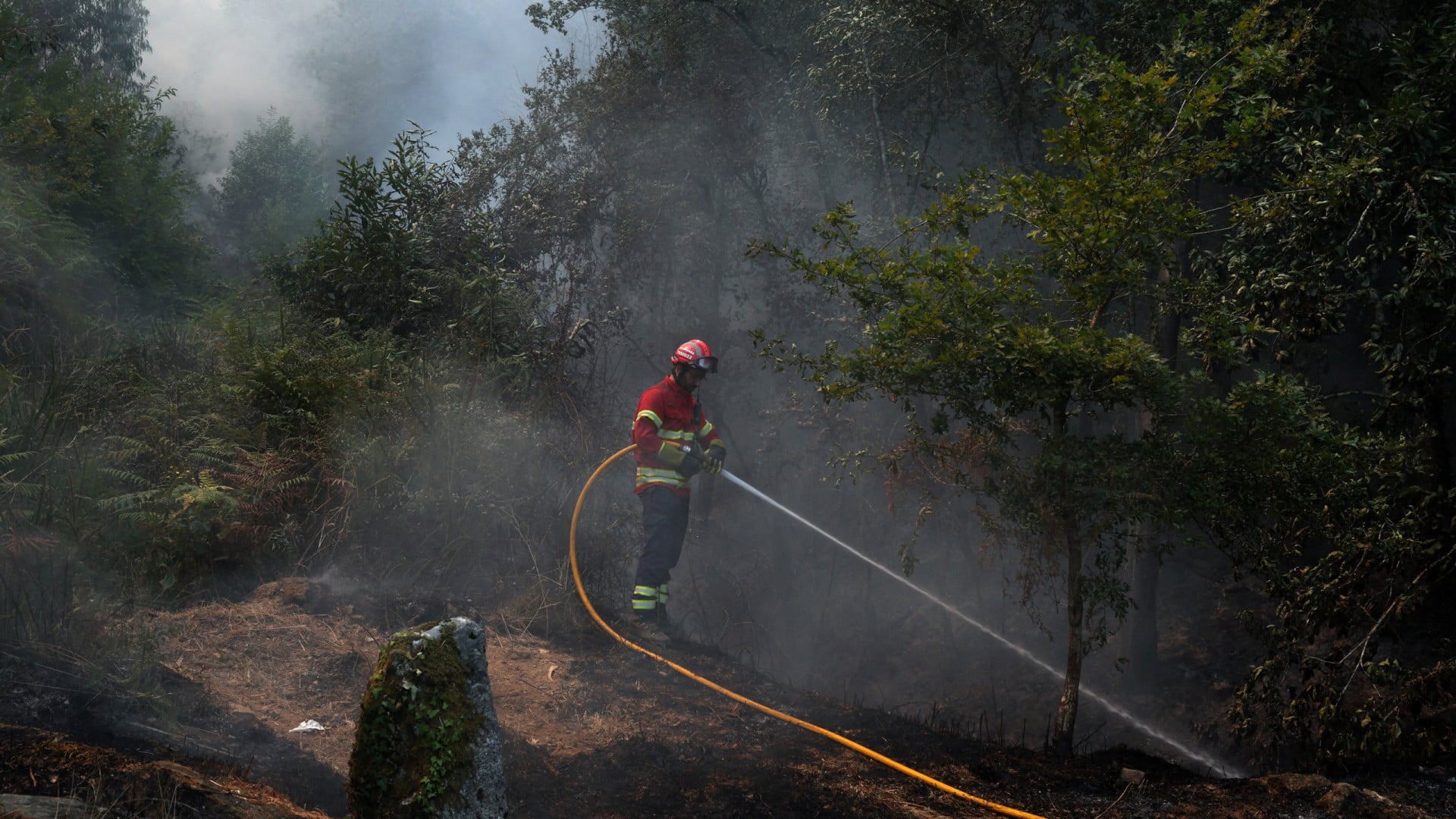 Êtes-vous pompier ? La DGS explique comment vous devez vous alimenter pour lutter contre les incendies.
