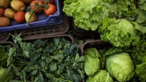Exportations de fruits, légumes et fleurs augmentent de 9,2% : Où vont-elles ?
