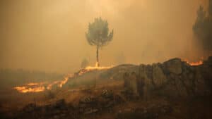 Feu à Lousã inquiète dans les zones de Mata do Sobral et Ribeira de São João.