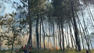 Feu à Pampilhosa da Serra sans front actif, mais avec des points chauds.