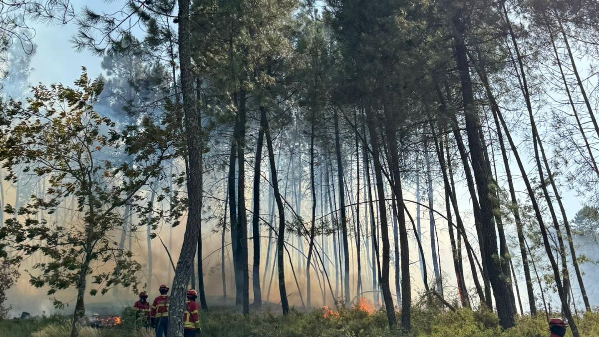 Feu à Pampilhosa da Serra sans front actif, mais avec des points chauds.