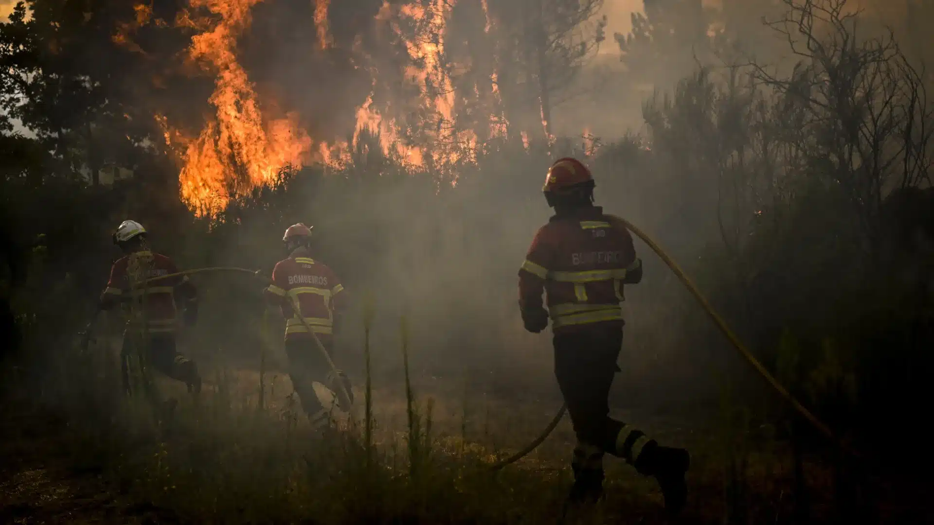 Feu à Vinhais avec un front actif (et 90 % du périmètre contrôlé)