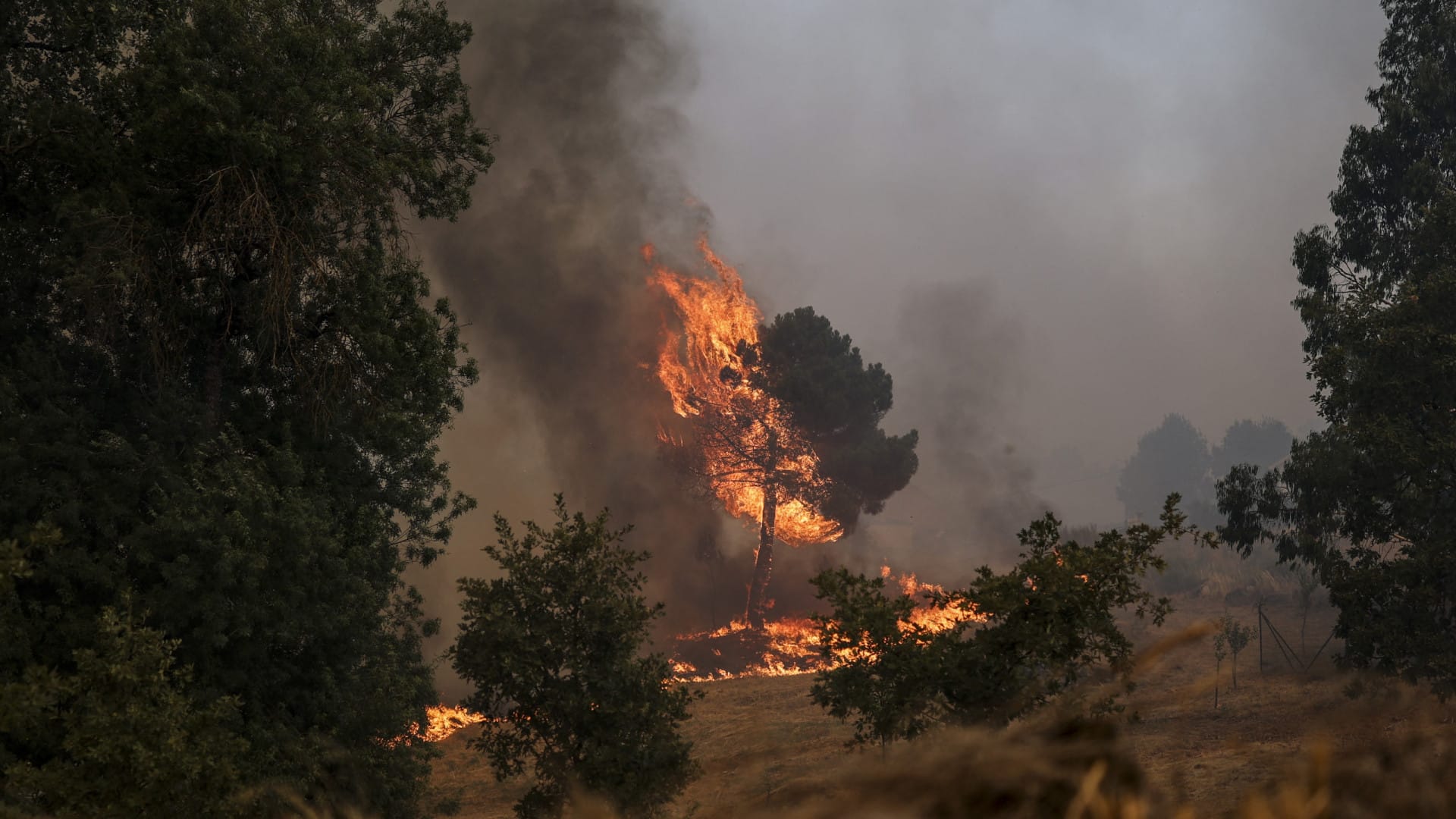 Feu qui fait rage à Portalegre et Castelo de Vide a trois fronts actifs.