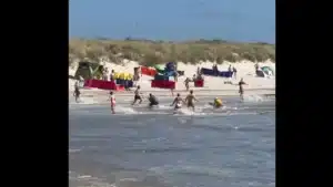 Figueira : Une vague emporte des baigneurs et les sauveteurs-nageurs évitent une tragédie