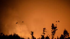 Flammes en phase de refroidissement près des villages évacués à Pedrógão Grande