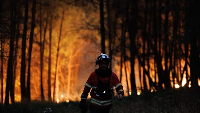 Fogo de Siralhelhos à Vila Real brûle dans une pinède et est celui qui inquiète le plus.