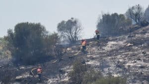 Fogos ? L'Association des Entreprises de la Serra da Lousã exige des mesures immédiates