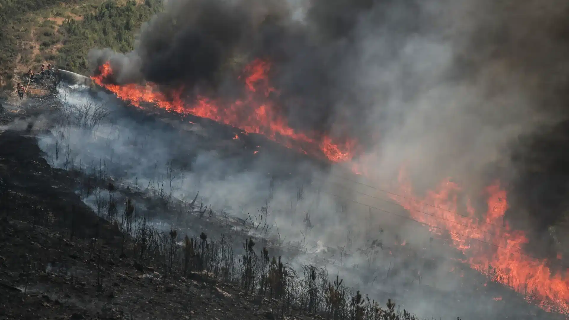 GNR a déjà arrêté 44 incendiaires et a donné près de 1 500 amendes.