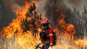 GNR assure que "le pire est passé" dans l'incendie de Pedrógão Grande.