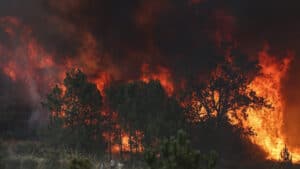 Il a 80 ans, était garde forestier et voit sa maison brûler : "Je ne sais pas quoi faire"