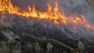 Incendie à Ermidas-Sado est maîtrisé.