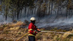 Incendie à Leiria est en consolidation et la route nationale EN113 reste fermée.