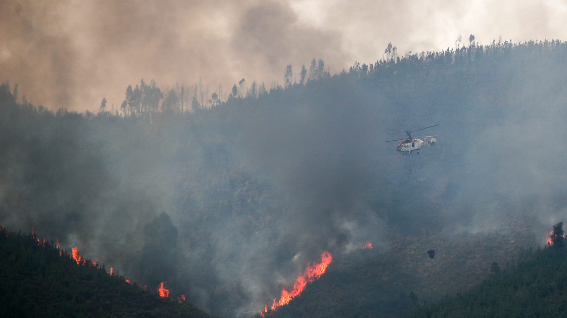 Incendie à Montalegre maîtrisé.