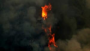 Incendie à Ponte da Barca continue en cours (et avec deux fronts actifs)