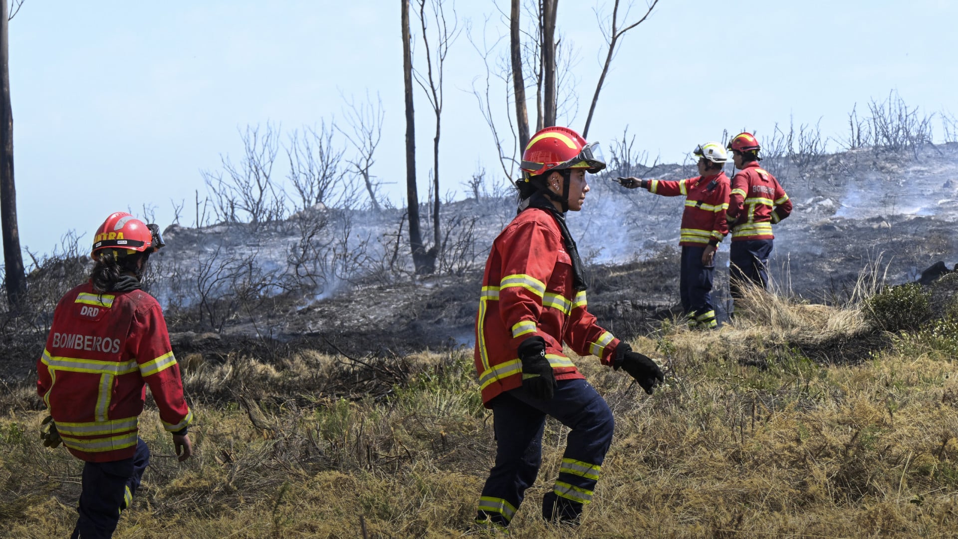 Incendie à Sabrosa considéré comme maîtrisé.