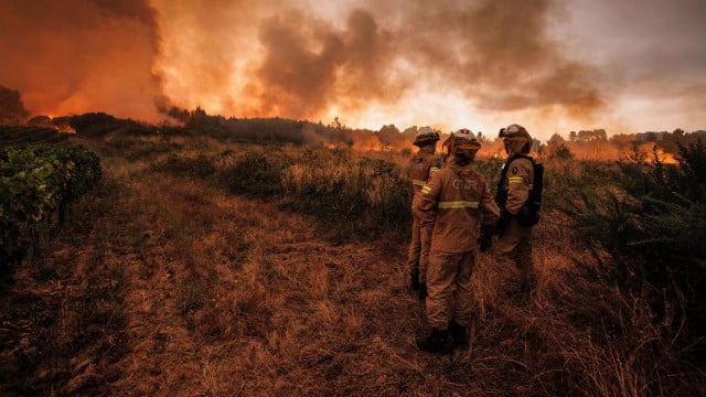 Incendie à Sabrosa : "Il y a des points chauds, nous n'avons pas de feu actif"