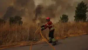 Incendie à Vinhais avec deux fronts actifs et "d'accès difficile" à la lutte.
