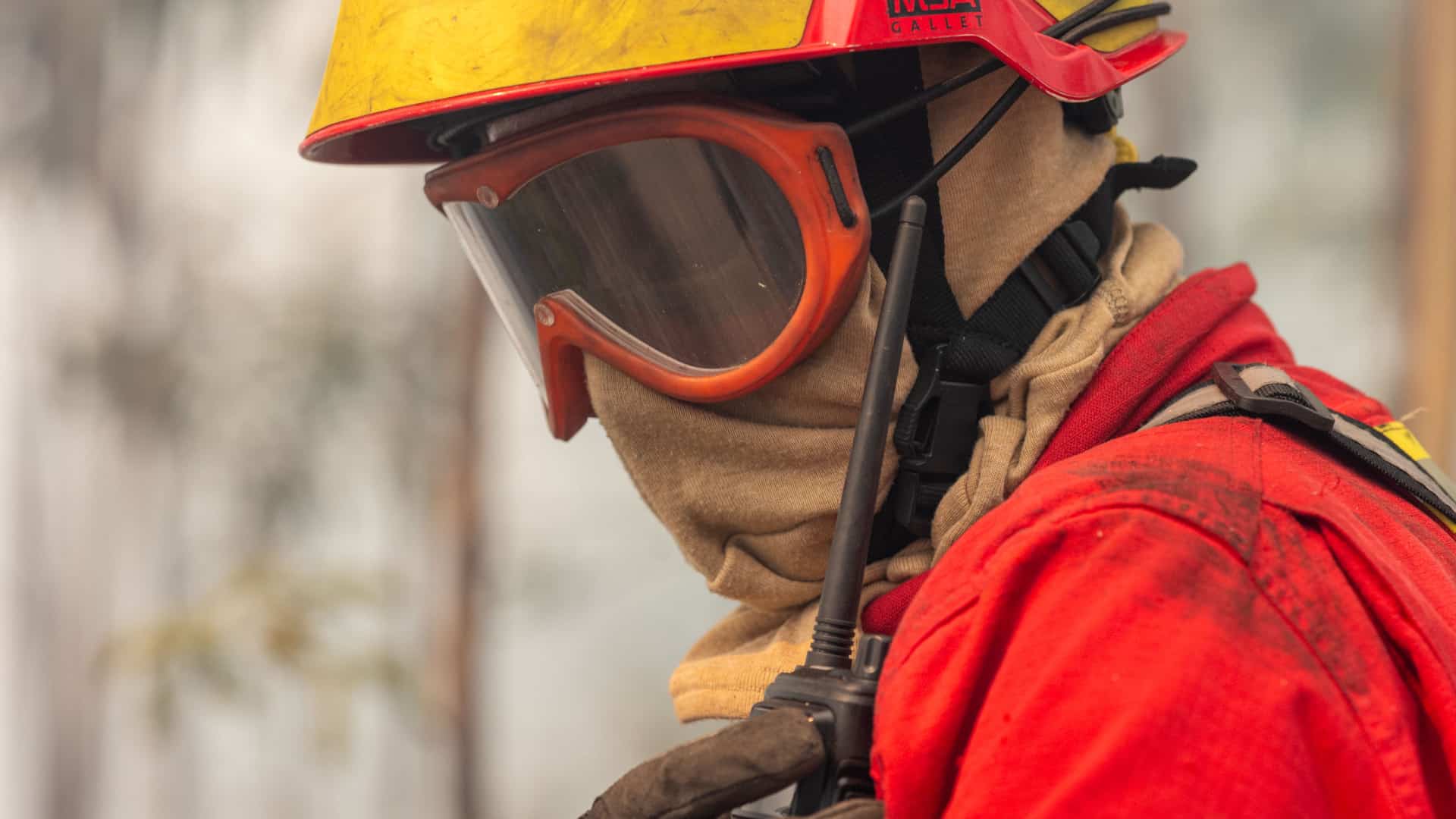 Incendie atteint la paroisse de Canelas. Habitants contenus sur une place.
