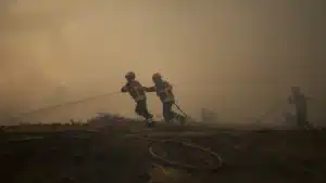 Incendie dans le Douro International a laissé les bergers sans nourriture pour le bétail.