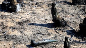 Incendie de Celorico de Basto maîtrisé après s'être propagé à Amarante.