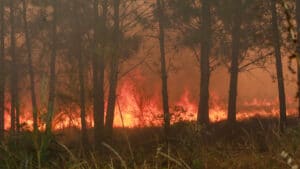 Incendie du parc Douro international avec des fronts actifs dans trois communes