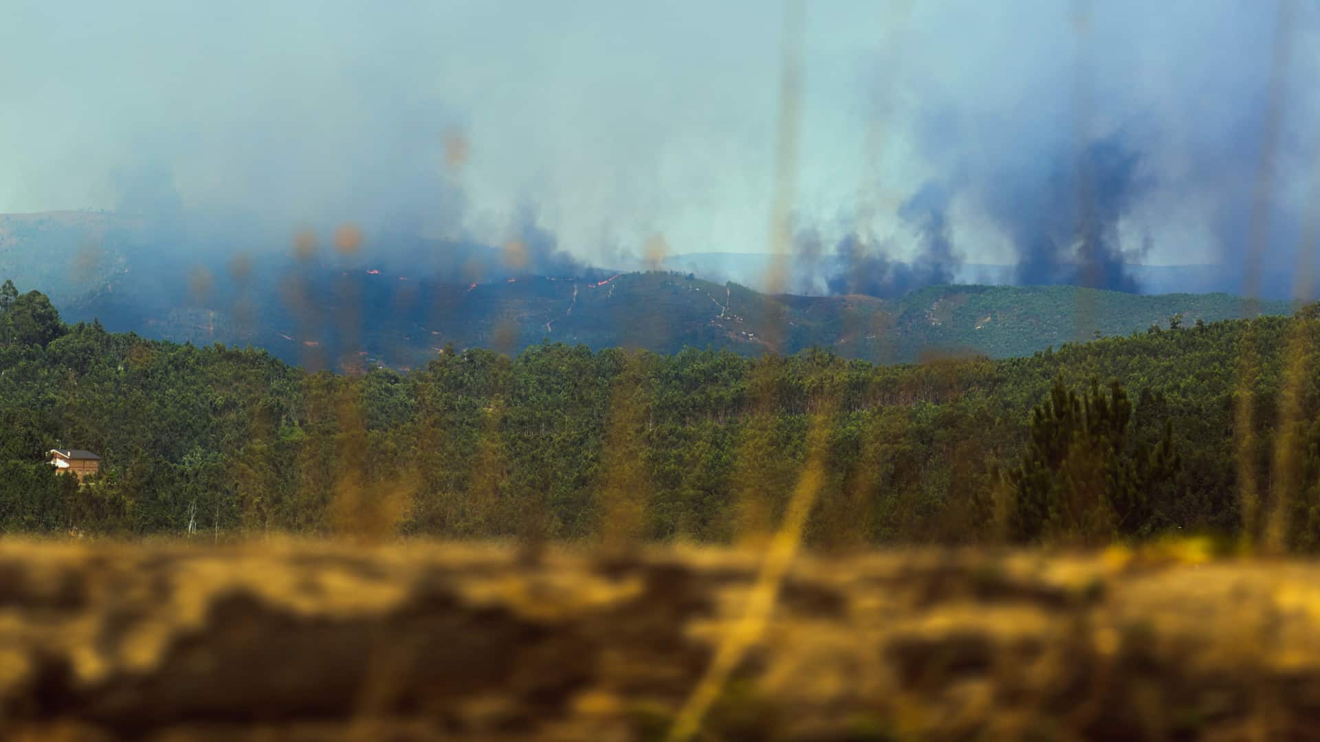 Incendie maîtrisé à Lomba à Gondomar