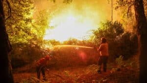 Incendies à Vila Verde, Cabeceiras et Sabrosa sont ceux qui préoccupent le plus.
