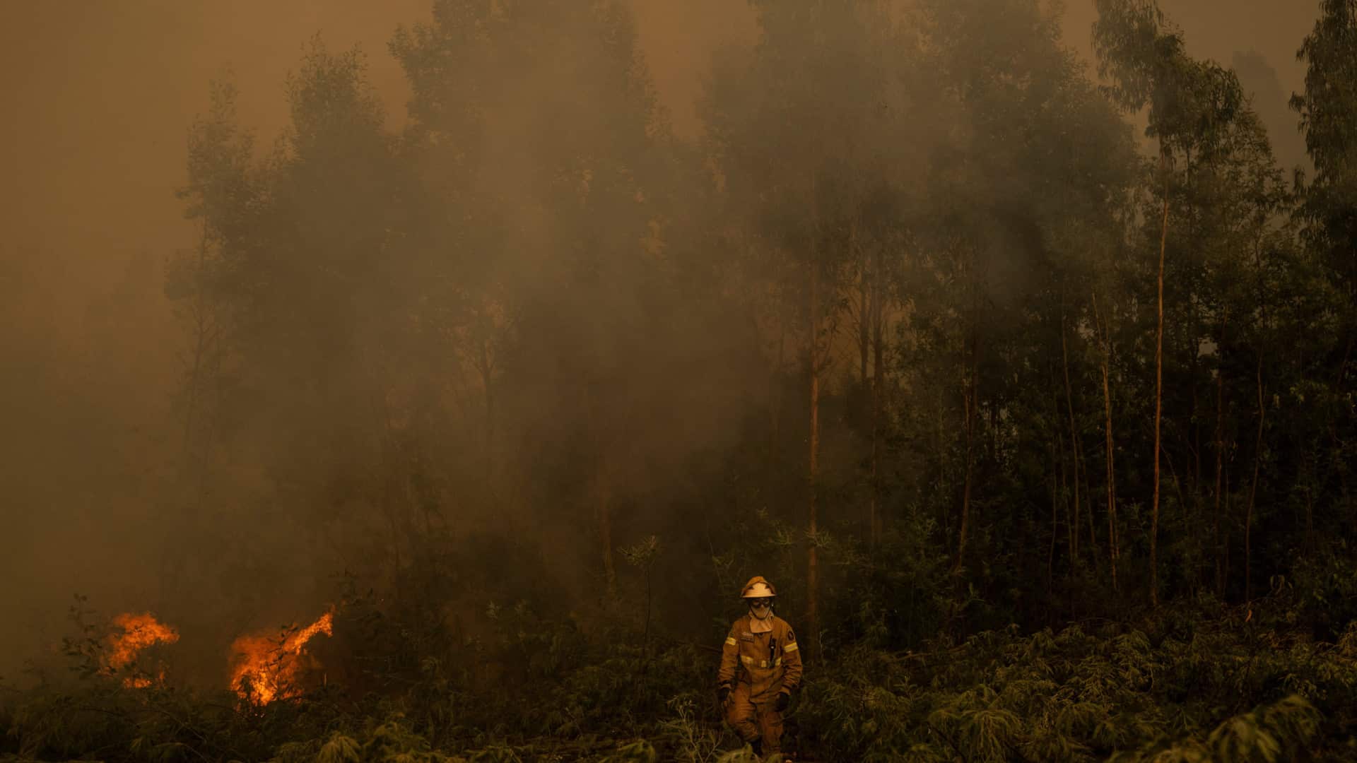 Incendies ? Habitants de Galegos attentifs aux réactivations dans la montagne de l'Alvão.