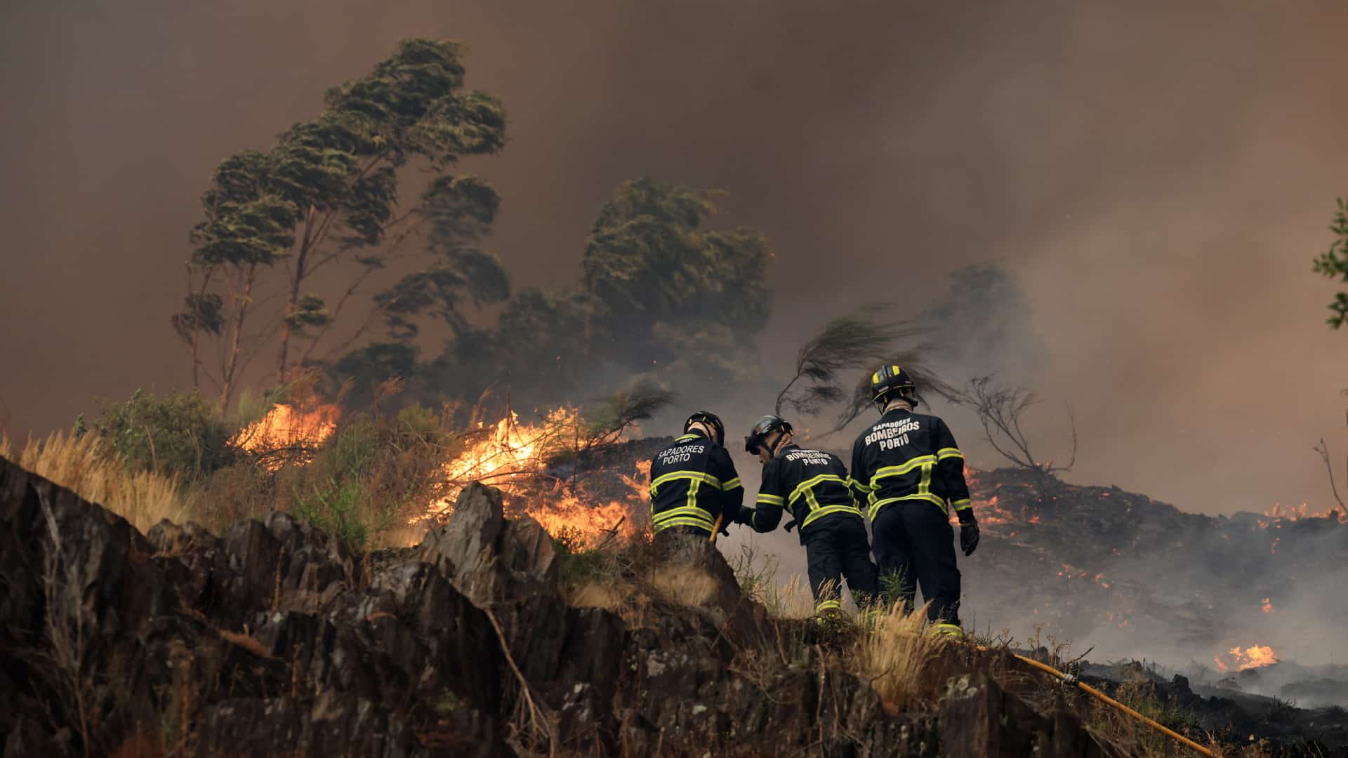 Incendies : La plupart des districts du Nord, Centre et Algarve en risque maximal
