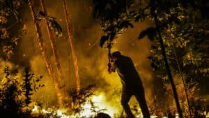 Incendies : Les entrepreneurs de la région de Coimbra préoccupés par la catastrophe
