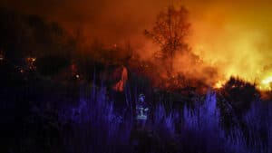 Incendies. ULS de Coimbra avec des moyens supplémentaires de réponse aux populations