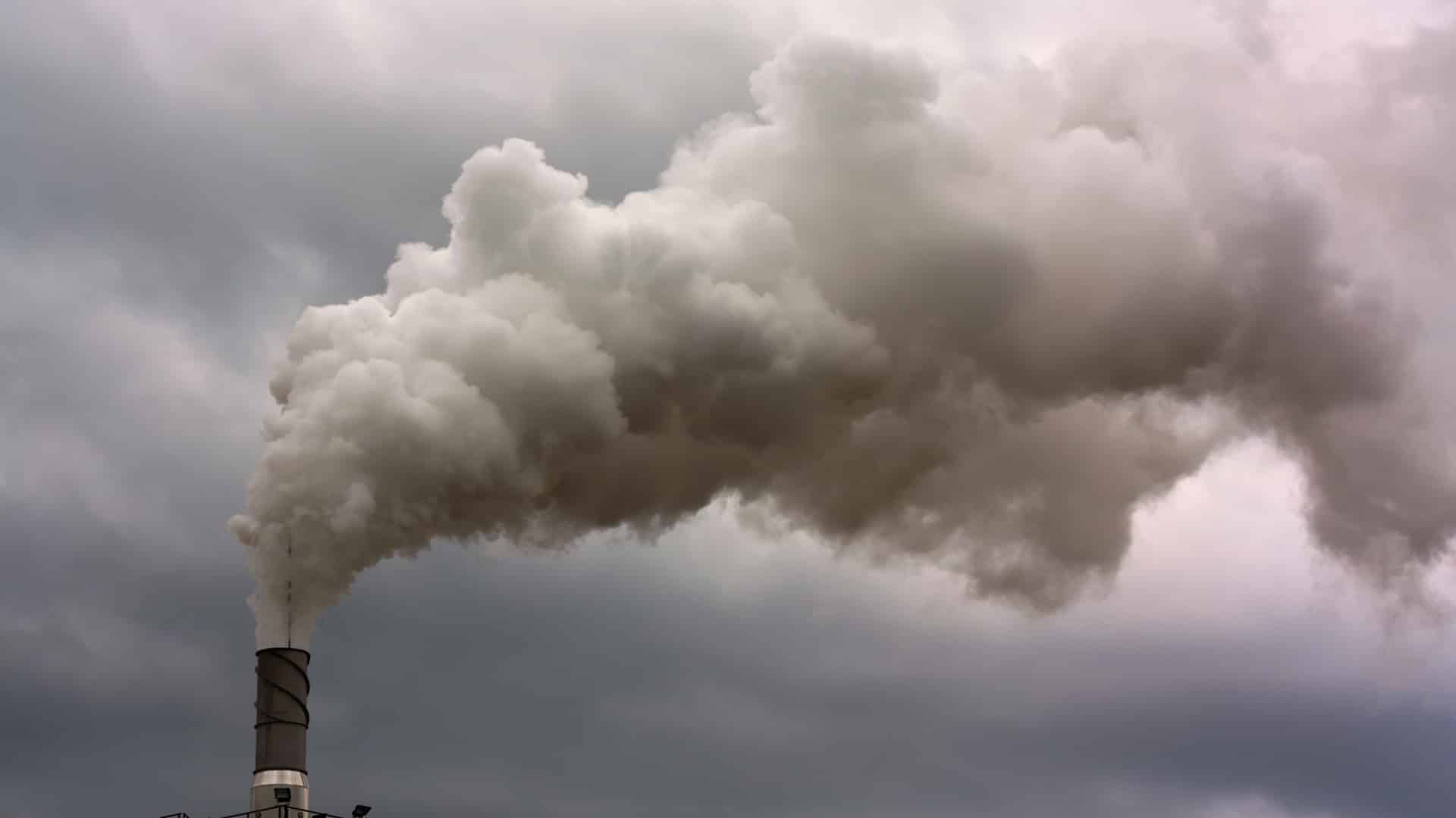 Incendies ? Un environnementaliste alerte sur la pollution : "Quantités énormes"