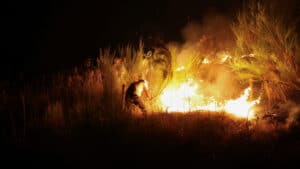 Incendies. Viseu avec trois fronts mais un commence à céder.