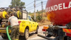 La municipalité de Mirandela remet des aliments aux producteurs touchés.