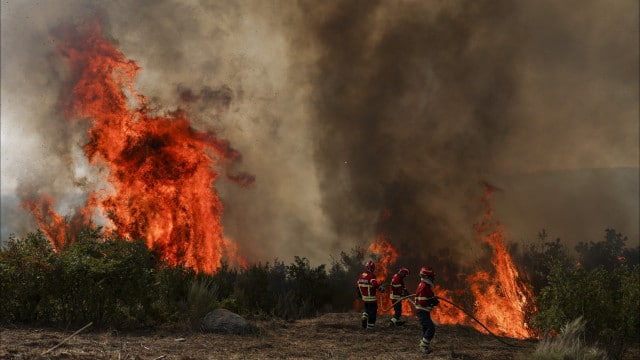 La plupart des personnes évacuées des villages de Lousã sont déjà rentrées chez elles.